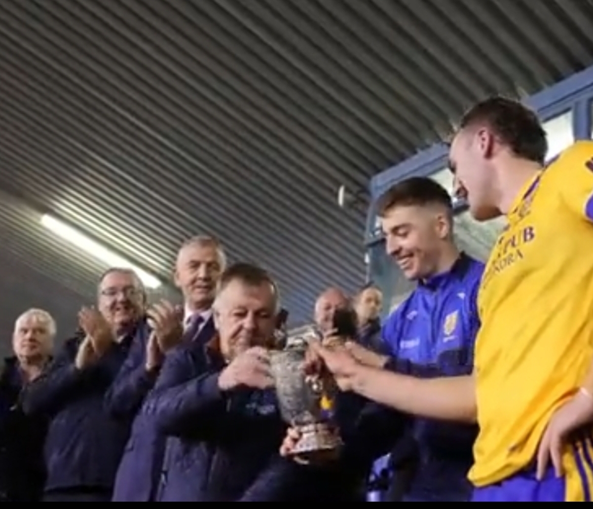 Na Fianna clinch their first-ever Dublin senior hurling championship title